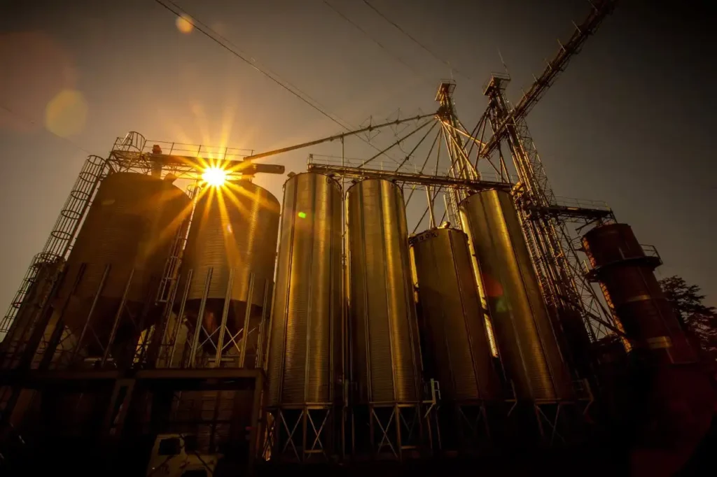 Vue en contre-plongée d’une installation industrielle composée de grands silos métalliques, éclairés par le soleil couchant, avec structures et passerelles visibles.