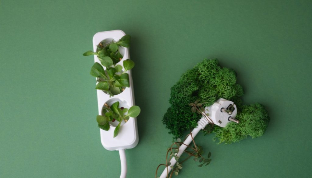 multiprise avec de la végétation, écologie, énergies renouvelables, feuilles et nature